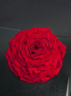 brud_10_bukett_DSC0259